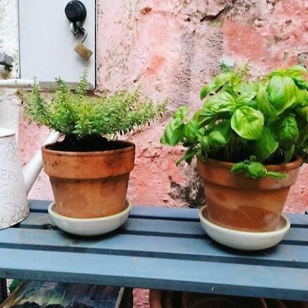 La Casa Di Mo Villa Albisola Superiore Kültér fotó